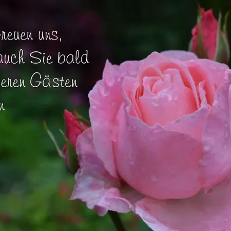 Chris Stephan Schwarzatal