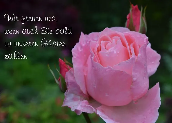 Chris Stephan Schwarzatal